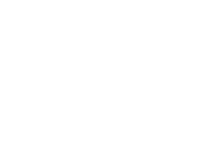 noodles